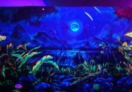 Сигнальная УФ краска Нокстон, более 15 - ти цветов свечения в ультрафиолете